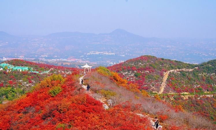 山红叶开花,北京看红叶的地方都有哪些红