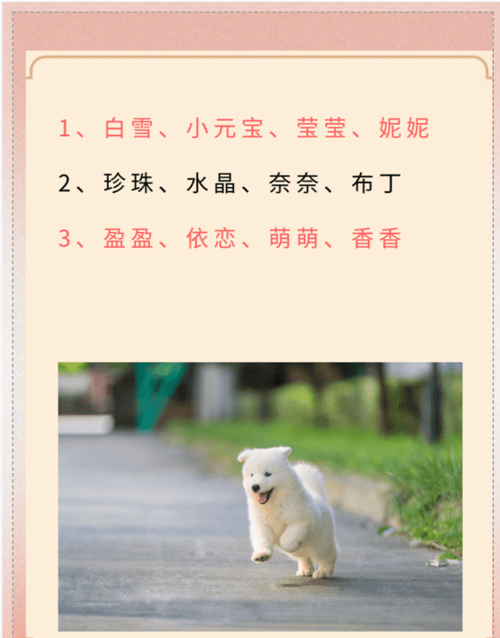 小狗起名字叫什么好听可爱,小狗名字 可爱 宠物 吉利图2