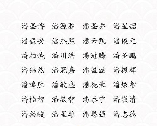 潘姓男孩起名大全,潘姓取什么名字最好图3