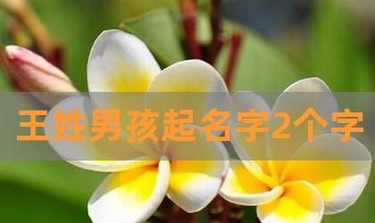 好听的名字男孩两个字,两个字又霸气又好听的名字排行榜图3