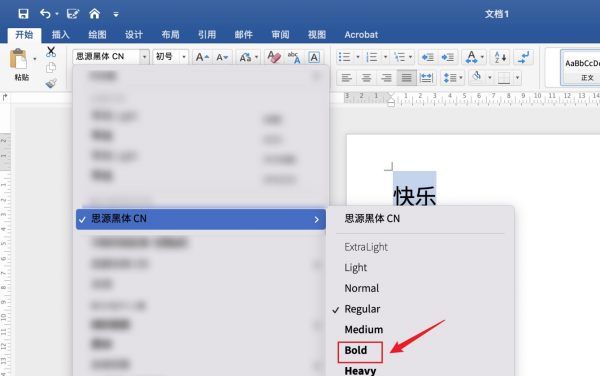 加粗字体怎么打，word粗体字体怎么设置字体大小图10