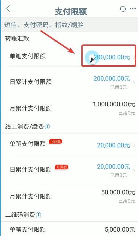 工商银行公转私限额怎么调,工商银行企业网银公转私额度图2