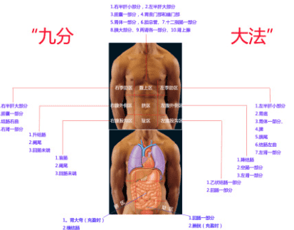 腹部分区九分法如何划分,九分法腹部分区图图2