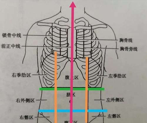 腹部分区九分法如何划分,九分法腹部分区图图3