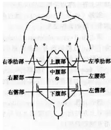 腹部分区九分法如何划分,九分法腹部分区图图4