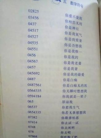 0455是什么意思,208数学爱情含义