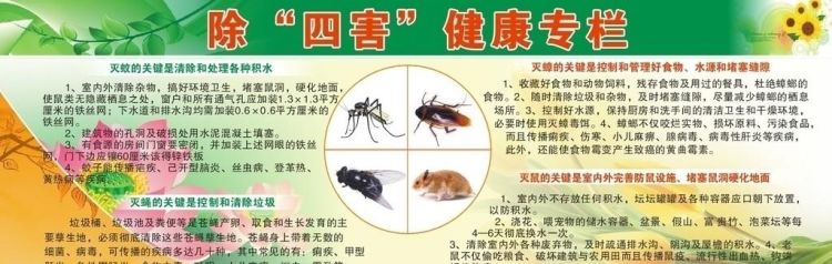 除四害四害指的是哪四种生物,四害是哪四种动物图1