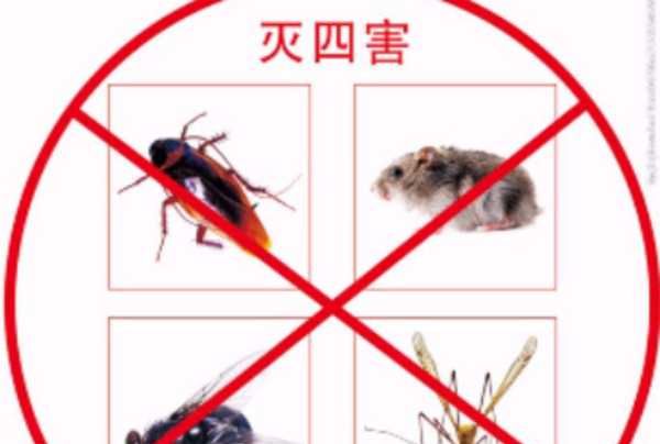 除四害四害指的是哪四种生物,四害是哪四种动物图3