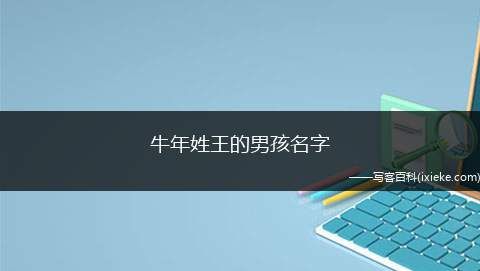 苏姓男孩取名字大全202,苏姓霸气的男孩名字图4