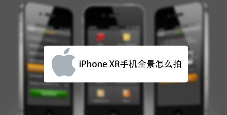 苹果手机iphone 如何全景拍摄,苹果相机的功能介绍和使用方法图5