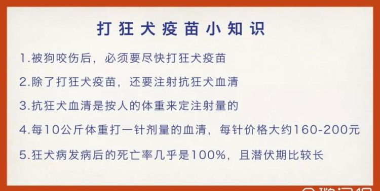 狂犬疫苗意外险能报,什么保险能报销狂犬疫苗图4