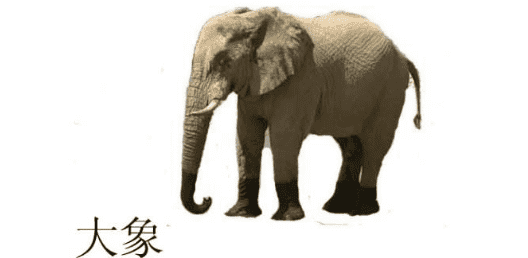 大象的英文怎么读elephant,大象单词怎么读图5