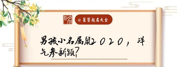 男宝宝起名大全2020属鼠,属鼠男孩最吉利的名字米字旁图4