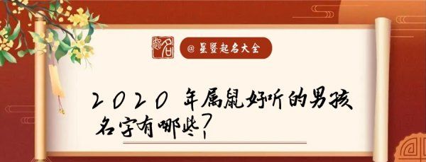 男宝宝起名大全2020属鼠,属鼠男孩最吉利的名字米字旁图6