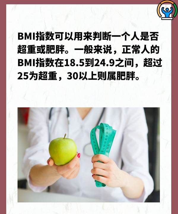 体重bim是什么意思,bmi是什么意思图3