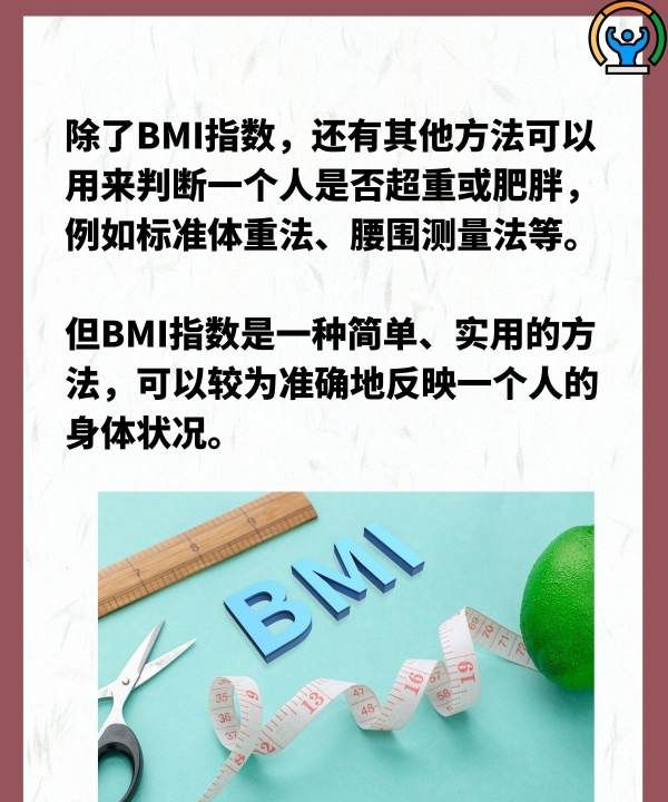 体重bim是什么意思,bmi是什么意思图4