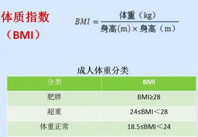 体重bim是什么意思,bmi是什么意思图10