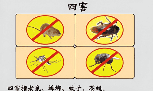 除四害的四害是什么，除四害四害指的是哪四种动物图1