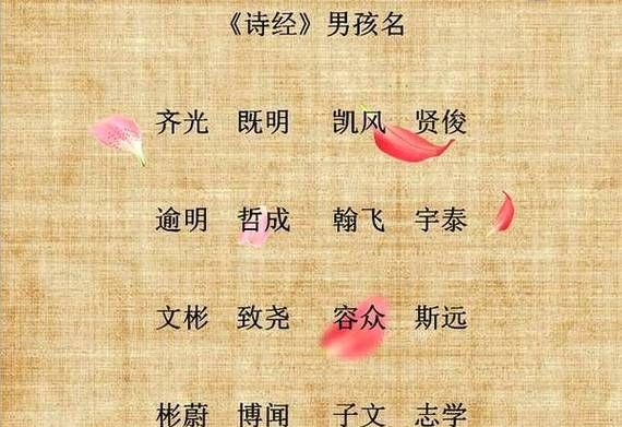 诗经男孩名字单字,出自诗经的男孩名字属兔图8