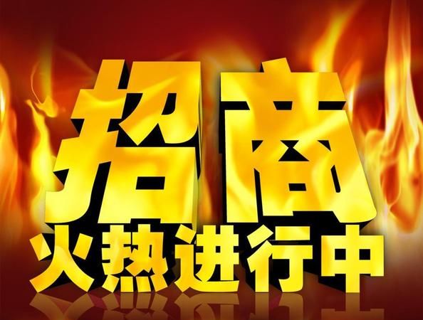 全国最大招商加盟网,淘金云是什么平台图2