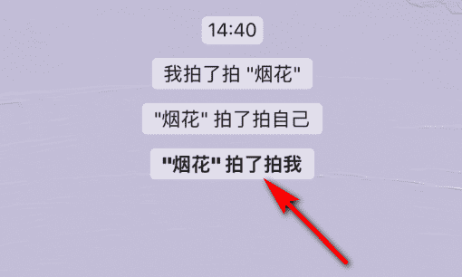 拍一拍对方显示昵称,一下微信怎么给对方发拍了拍你的照片图5