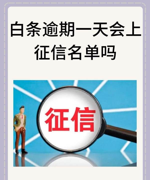 白条逾期一天会上征信图1