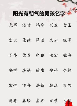 宝宝男名字大全免费,男孩子取什么名字好听有内涵图3