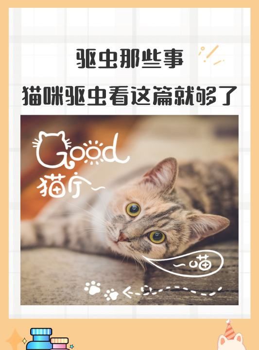 猫咪弓形虫怎么驱虫，猫有了弓形虫怎么治疗图2