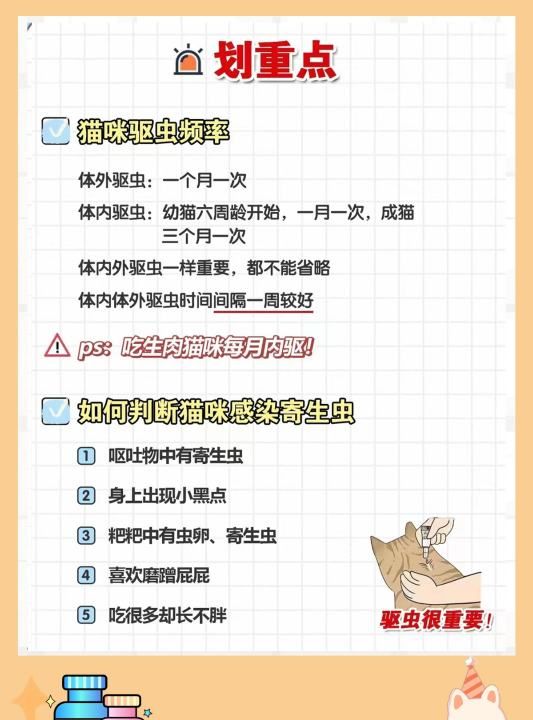 猫咪弓形虫怎么驱虫，猫有了弓形虫怎么治疗图5