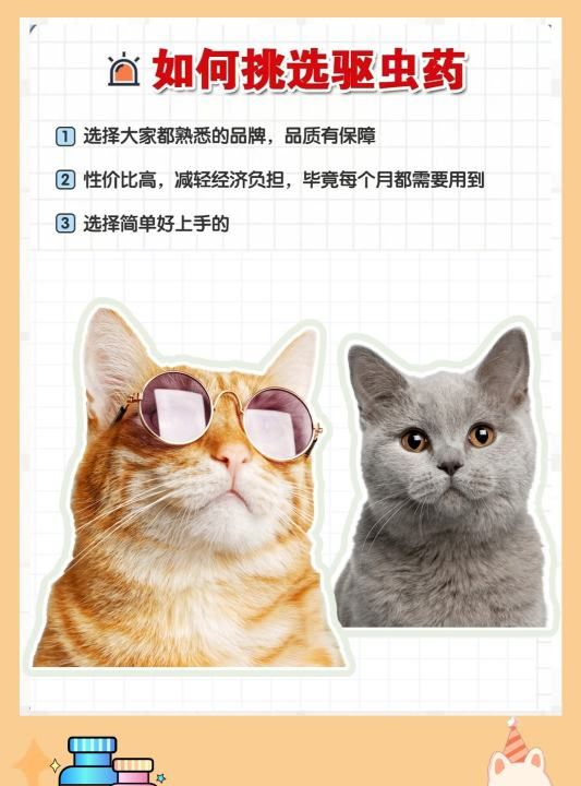 猫咪弓形虫怎么驱虫，猫有了弓形虫怎么治疗图6