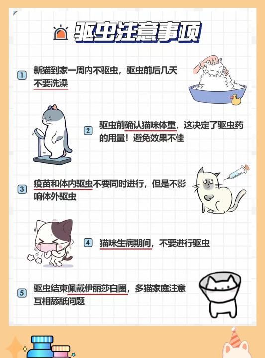 猫咪弓形虫怎么驱虫，猫有了弓形虫怎么治疗图7