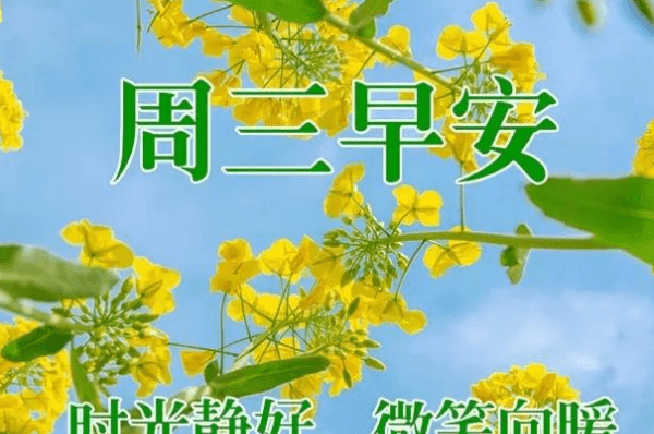 关于周三的句子,周三祝福语三十句