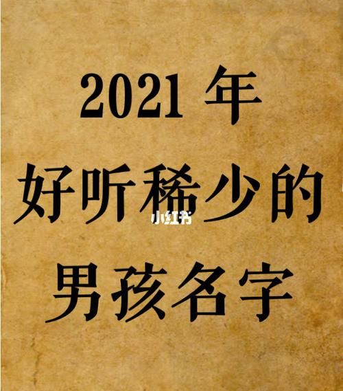 孩子起名202男孩免费,202男孩名字简单霸气两个字图3