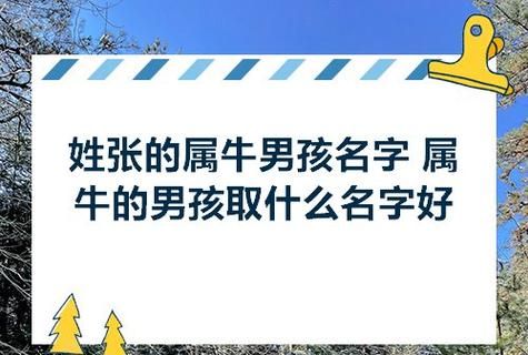 张姓男孩名字大全2021属牛免费,牛年男宝宝张姓起名大全 好听有寓意的张姓宝宝名字图4