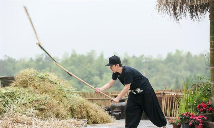 向往的生活游戏几匹马游戏怎么玩,属马游戏的规则图8