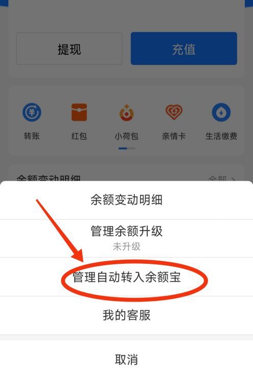 余额宝自动转入怎么取消,支付宝余额宝自动转入怎么取消202图5