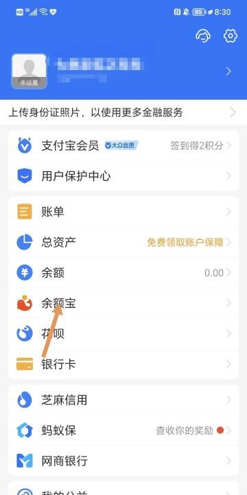 余额宝自动转入怎么取消,支付宝余额宝自动转入怎么取消202图11